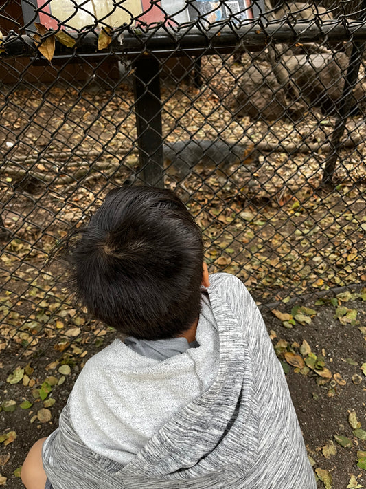 Visit to Sulfur Creek Nature Center